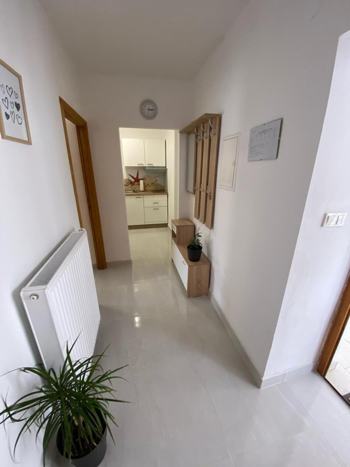 Apartmani Radosav ชิโล ภายนอก รูปภาพ
